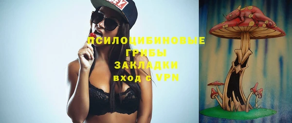 ECSTASY Медногорск