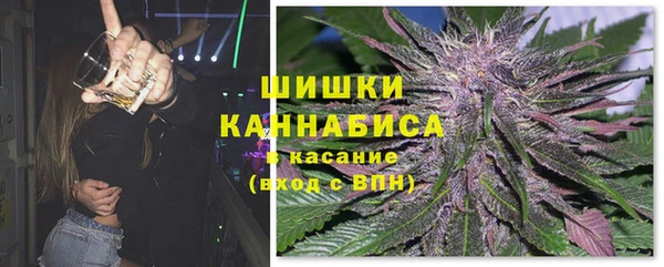 ECSTASY Медногорск
