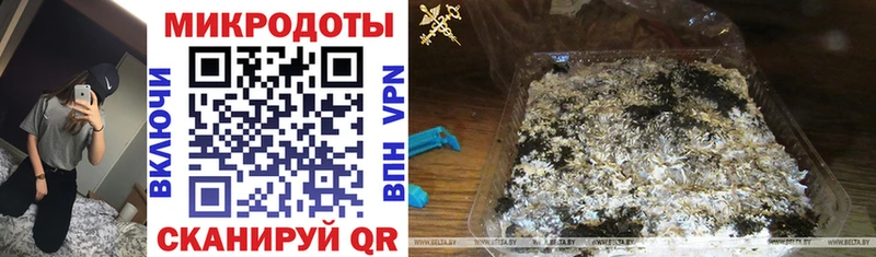 Псилоцибиновые грибы Psilocybe  Купить закладки  Вытегра 